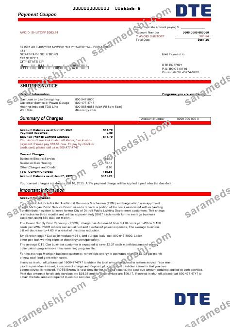 USA Michigan DTE Energy business utility bill template in Word and PDF formats
